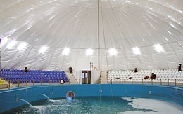Dolphinarium